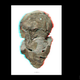 Illustration for article titled This Database Lets You 3D Print and Explore Thousands of Fossils